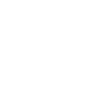 logo-white-bravo