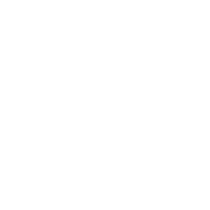 logo-white-hype